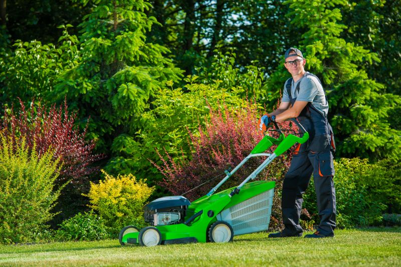 Lawn Care And Mowing