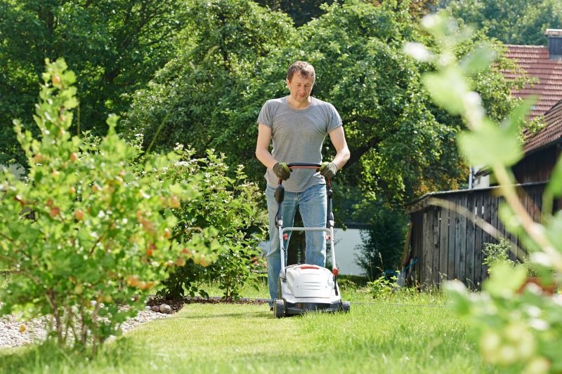 Lawn Care And Mowing