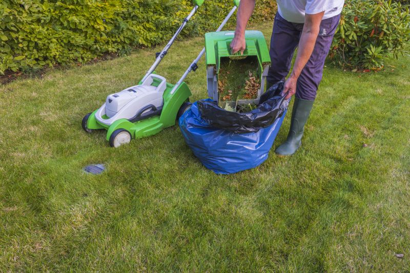 Lawn Care And Mowing