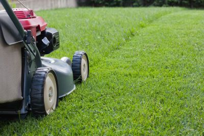 Lawn Care And Mowing
