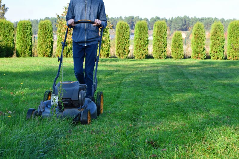 Lawn Care And Mowing