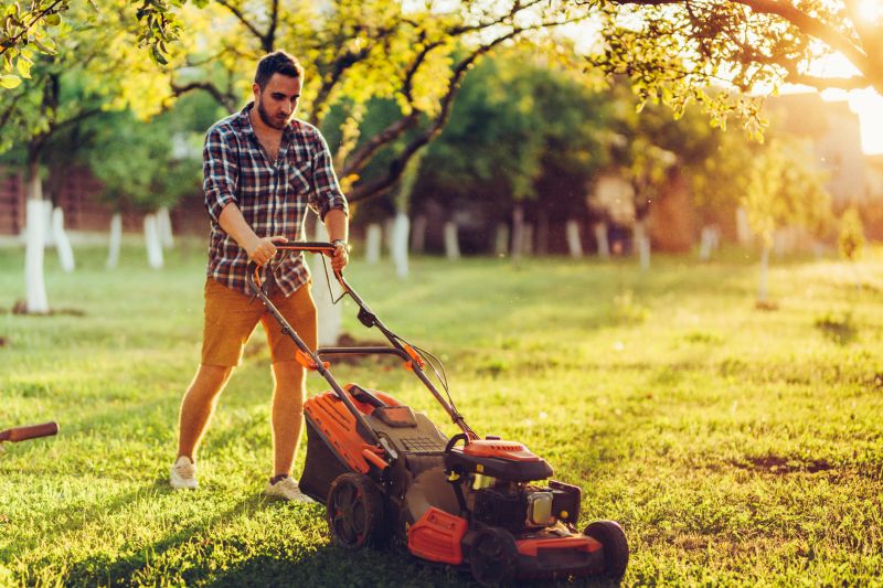 Lawn Care And Mowing