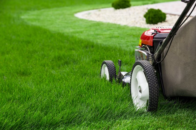Lawn Care And Mowing