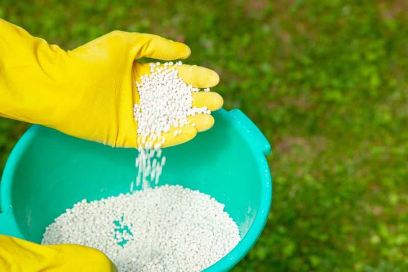 Lawn Fertilization Service in Honolulu, HI